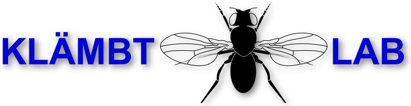 Klämbt Lab